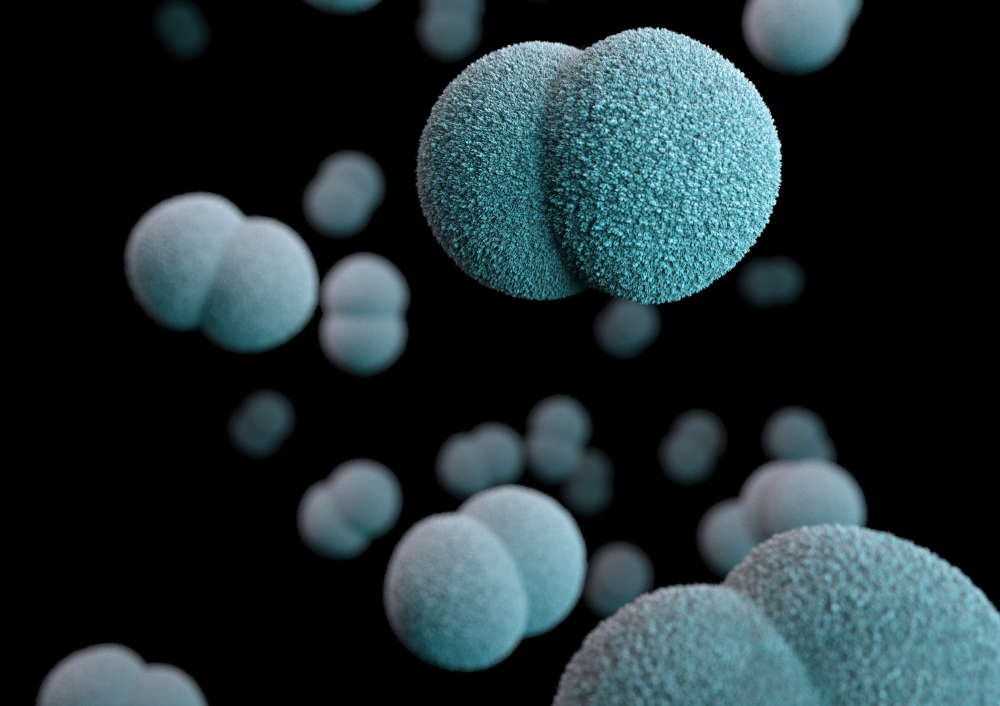Rotavirus